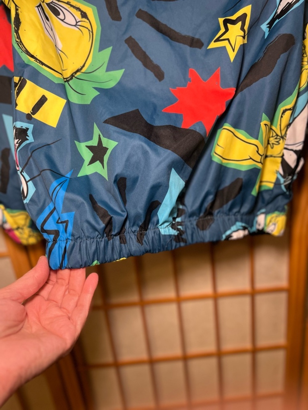 Looney Tunes Members Only Hooded Windbreaker Jacket Kids Size5 Colorful Graphic - Picture 10 of 15